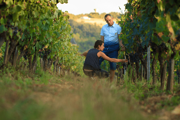 chateau-haut-monplaisir-philosophie